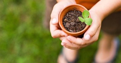 Beyond Capitalism: Not-for-Profit Business Ethos Motivates Sustainable Behaviour