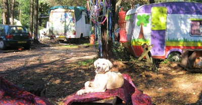 Devon's 'New Travellers' Don't Want to Leave Their Woodland Paradise