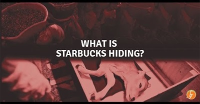 We Are All Animals: Demystifying Starbucks' Humane Washing