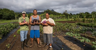 If There Are No New Farmers, Who Will Grow Our Food?