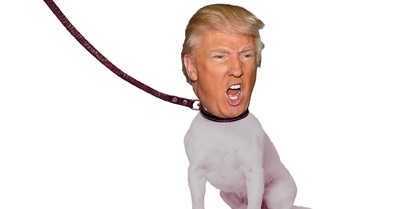 3 Keys to Managing President Trump