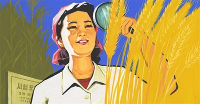 'Propaganda' Review - Pyongyang Style