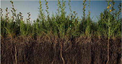 Regenerative Agriculture: Our Best Shot at Cooling the Planet?