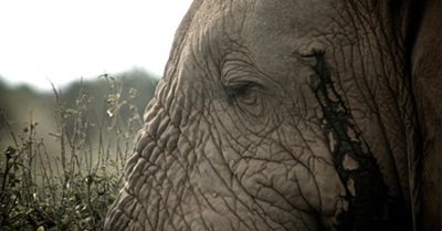 Ten Things To Do When You’re Feeling Hopeless