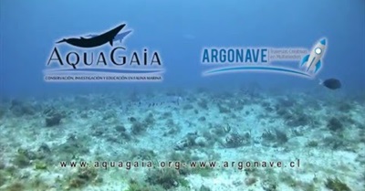 Y ESE MAR QUE TRANQUILO TE BAÑA 2