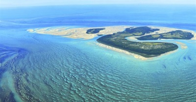 Save The KImberley - Hands Up For Kim