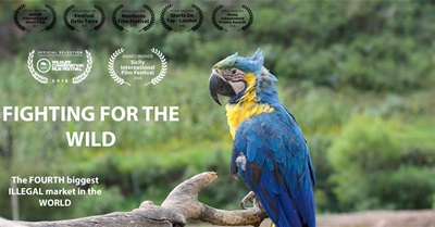 Fighting For The Wild