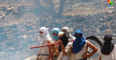 Inside the Hotbeds of Israeli Settler Terror