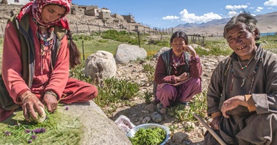 After Brexit and Trump: Don't Demonise; Localise!