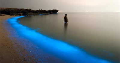 Stunning Award Winning Photos Highlight Social and Environmental Issues