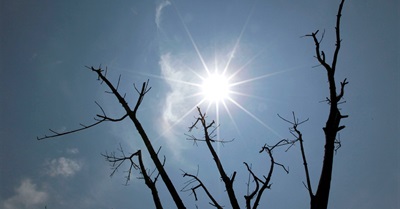 Bill McKibben on the Global Warming Hoax