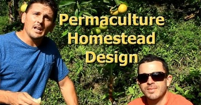 Permaculture Homestead Design "The Sustainable Living Project" with Brendon McKeon and Jim Gale
