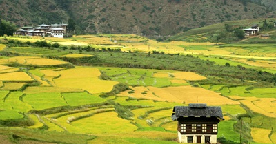 This Tiny Country Is Going 100 Percent Organic