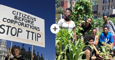 Resist Globally, Renew Locally