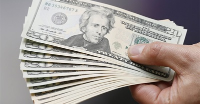 Basic Income: The World's Simplest Plan to End Poverty, Explained