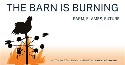 The Barn is Burning