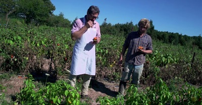 Calling all Chefs: what happens when a Two Star Michelin Chef can't find a job?