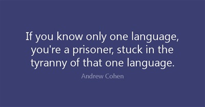 The Divided States of Hypocrisy: Americans, Prisoners of Language.