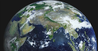 We Stand for All Sacred Life on Earth