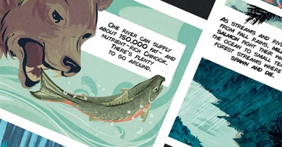 How Salmon Feed the Forests
