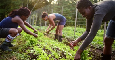 Tractors, Ritual Baths, and Dismantling Racism: Welcome to Black and Latino Farmers Immersion