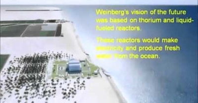 Save Half a Billion Dollars and our Future. Stop the Destruction of America's U-233.