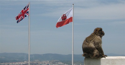 A Brexit State of Play Summary Like No Other