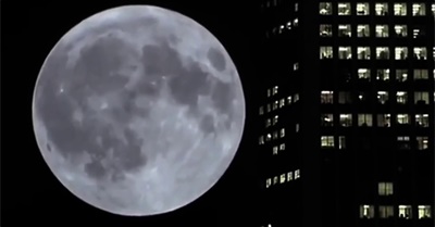 Escape society or remain a slave - Joe Rogan