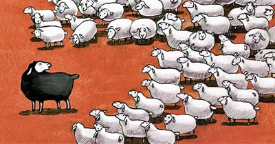 What Happens When You Rebel Against the Herd