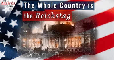 The Whole Country is the Reichstag