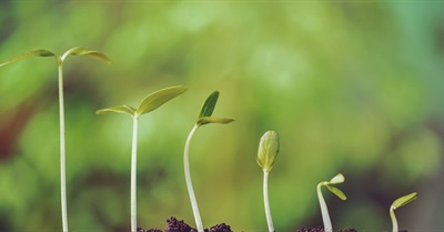 Time for Degrowth: to Save the Planet, We Must Shrink the Economy