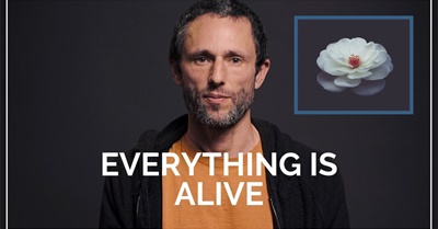 The Core of the Indigenous Worldview