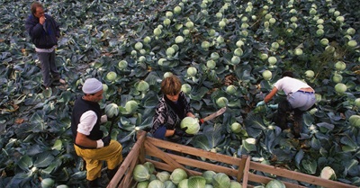 Britain Is Not a Rainy, Fascist Island - Here's My Plan for Progrexit