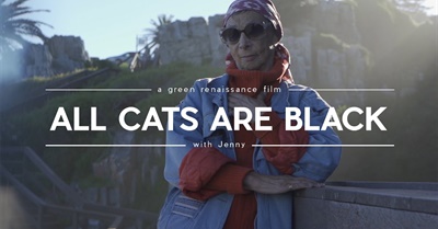 All Cats Are Black