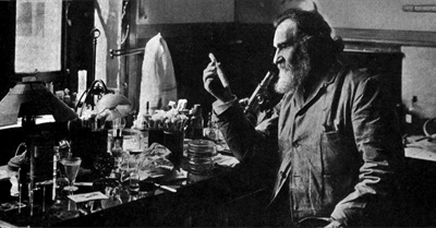 What's All The Fuss About Bacteria?