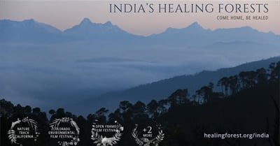 India's Healing Forests: Come Home, Be Healed