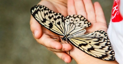 Nature Needs a New Pronoun: To Stop the Age of Extinction, Let's Start by Ditching "It"