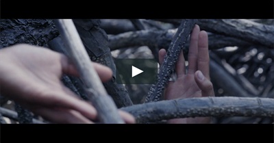 Envision 2017- Director's Cut