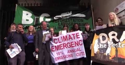 Biomassacre - Energy From Biomass Is Disastrous For The Environment And Human Health