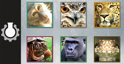 How "Winner Take All" Voting Inevitably Leads to a Two Party System