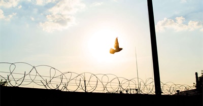 Fighting for Reforms Isn't Enough. It's Time We Reach for Prison Abolition.