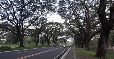 Full Inclusion of IP Rights in Bangsamoro Basic Law