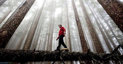 Fear of a Living Planet