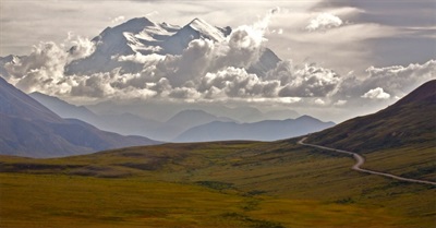 Why We Fight for the Living World: It's About Love