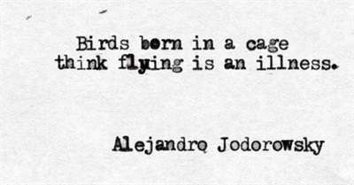 You Get What You Pay For