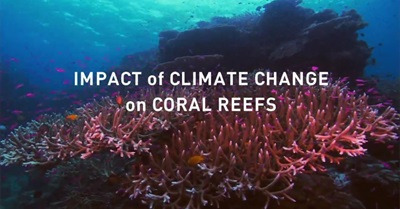 Impact of Climate Change on Coral Reefs