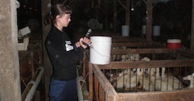 Investigator Speaks As She Heads to Jail for Exposing Factory Farm Cruelty