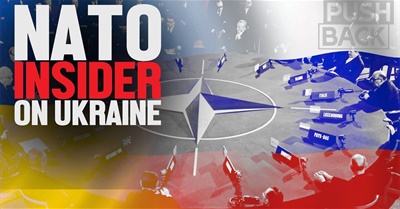 US, EU sacrificing Ukraine to 'weaken Russia': fmr. NATO adviser