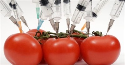 Genetically Modified