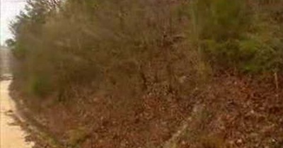 The Rise of Hate Groups in America